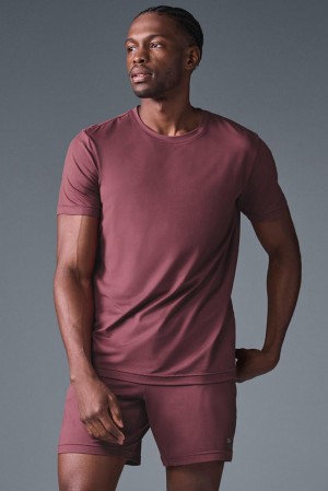 Short Sleeve Alo Yoga Conquer Reform Crewneck Hombre Burdeos | España TUVF-37482