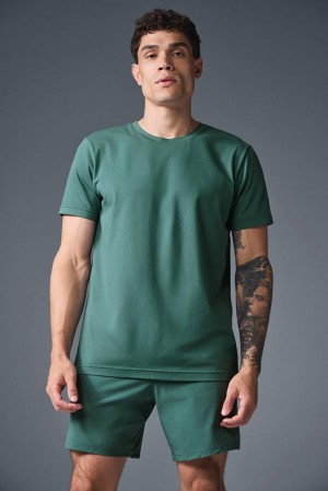 Short Sleeve Alo Yoga Conquer Reform Crewneck Hombre Winter Ivy | España DITF-74219
