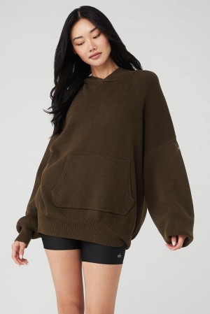 Suéteres Alo Yoga Scholar Hooded Mujer Espresso | España HXTE-13260